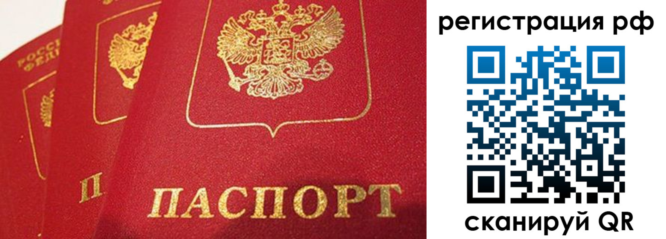прописка поиск в Истре